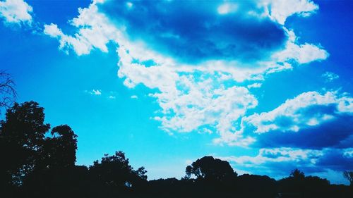 Low angle view of silhouette trees against sky