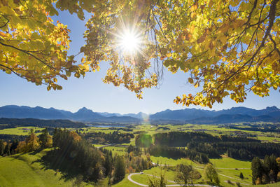 Sunlight streaming through trees on landscape against sky