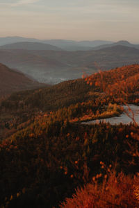 Scenic view of landscape during sunset