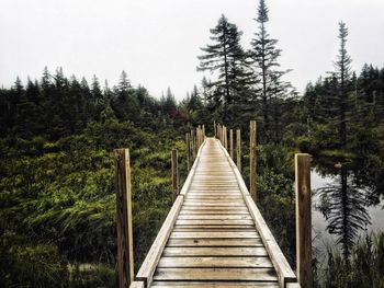 View of footbridge