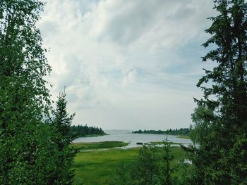 Scenic view of landscape against sky