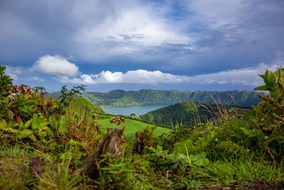 Scenic view of landscape against sky