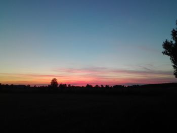 Silhouette trees on field against sky during sunset