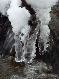 Close-up of frozen water