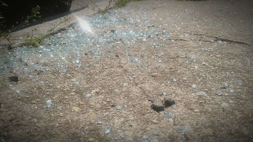 Close-up high angle view of water