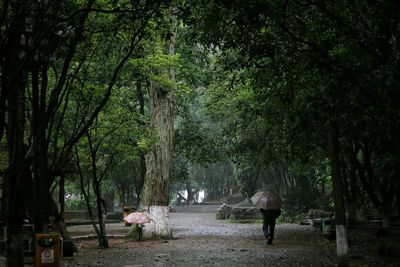 Lonely person walking in the park in a rainy day