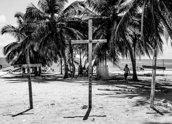 View of tree trunk on beach