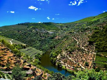 Scenic view of agricultural landscape against blue sky