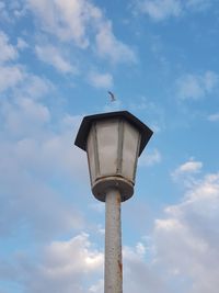 Low angle view of seagull perching on street light against sky