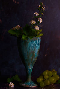Close-up of flower vase on plant