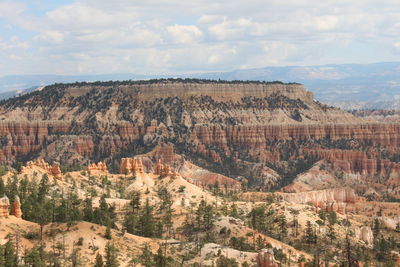 Aerial view of a landscape