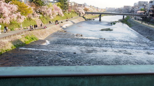 Scenic view of bridge over water