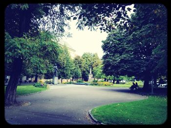 Footpath in park