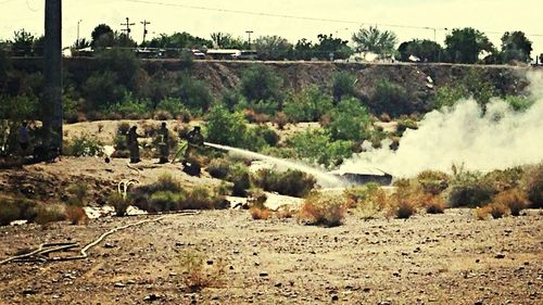 Scenic view of rural landscape