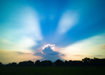 Silhouette trees on field against sky at sunset