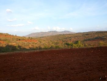 Landscape with mountain range in background