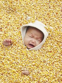 High angle view of crying girl lying in corn