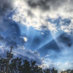 Low angle view of trees against sky