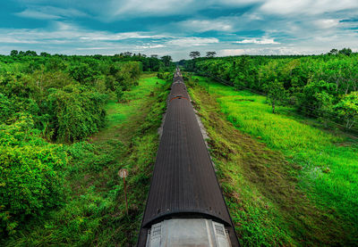 Dirt road amidst plants and trees against sky