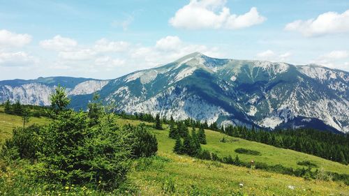 Scenic view of landscape against cloudy sky