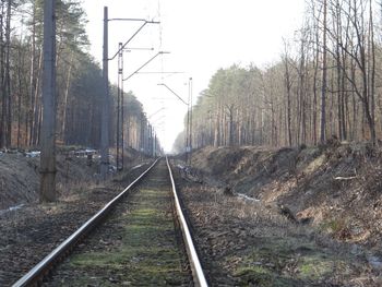 Railroad tracks amidst trees in forest against sky