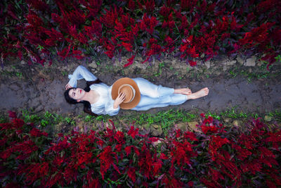 High angle view of woman lying down on red flowering plants