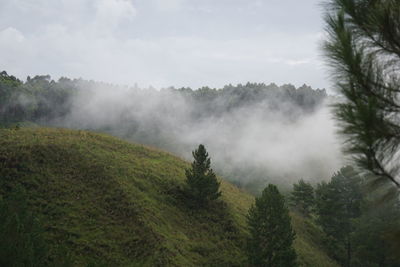 Scenic view of waterfall against sky