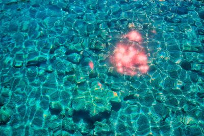 High angle view of swimming pool in sea