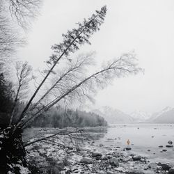 View of lake with trees in background