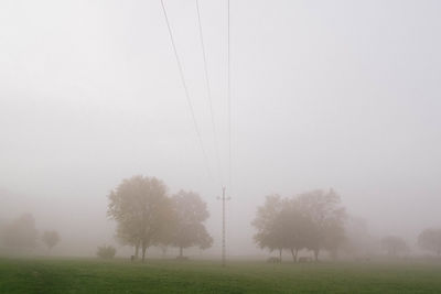Trees on field against sky during foggy weather