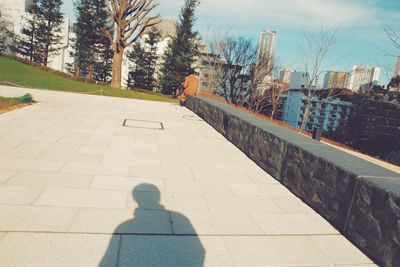 Shadow of man on tree