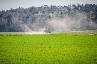 Scenic view of agricultural field