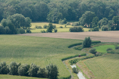 Scenic view of agricultural field