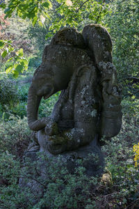 Close-up of old statue