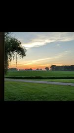 Scenic view of grassy field against sky
