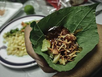 High angle view of green leaves on plate