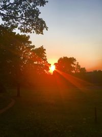 Trees on field against sky during sunset