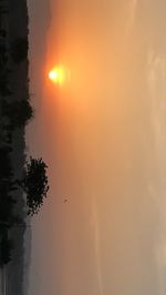 Scenic view of tree against sky during sunset