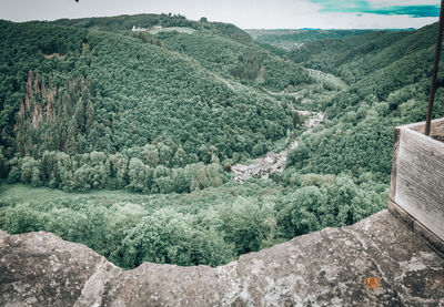 High angle view of trees on landscape