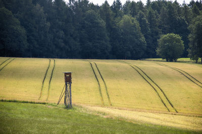 Scenic view of field against trees