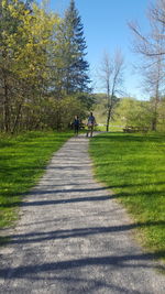 Rear view of people walking on road