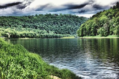 Scenic view of lake in forest against sky