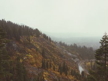 Trees on landscape against sky during foggy weather