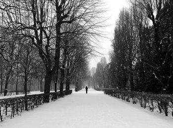 Rear view of bare trees on snow covered landscape