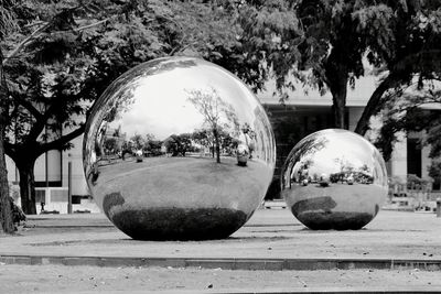 Close-up of crystal ball with reflection on trees