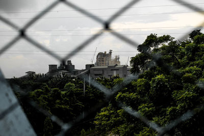 Trees and plants seen through chainlink fence against sky