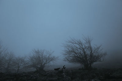 Silhouette bare trees on landscape against sky