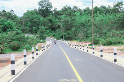 Empty road amidst trees