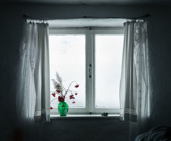 Flowers on window sill at home