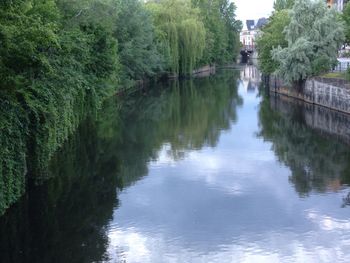 Reflection of trees in river